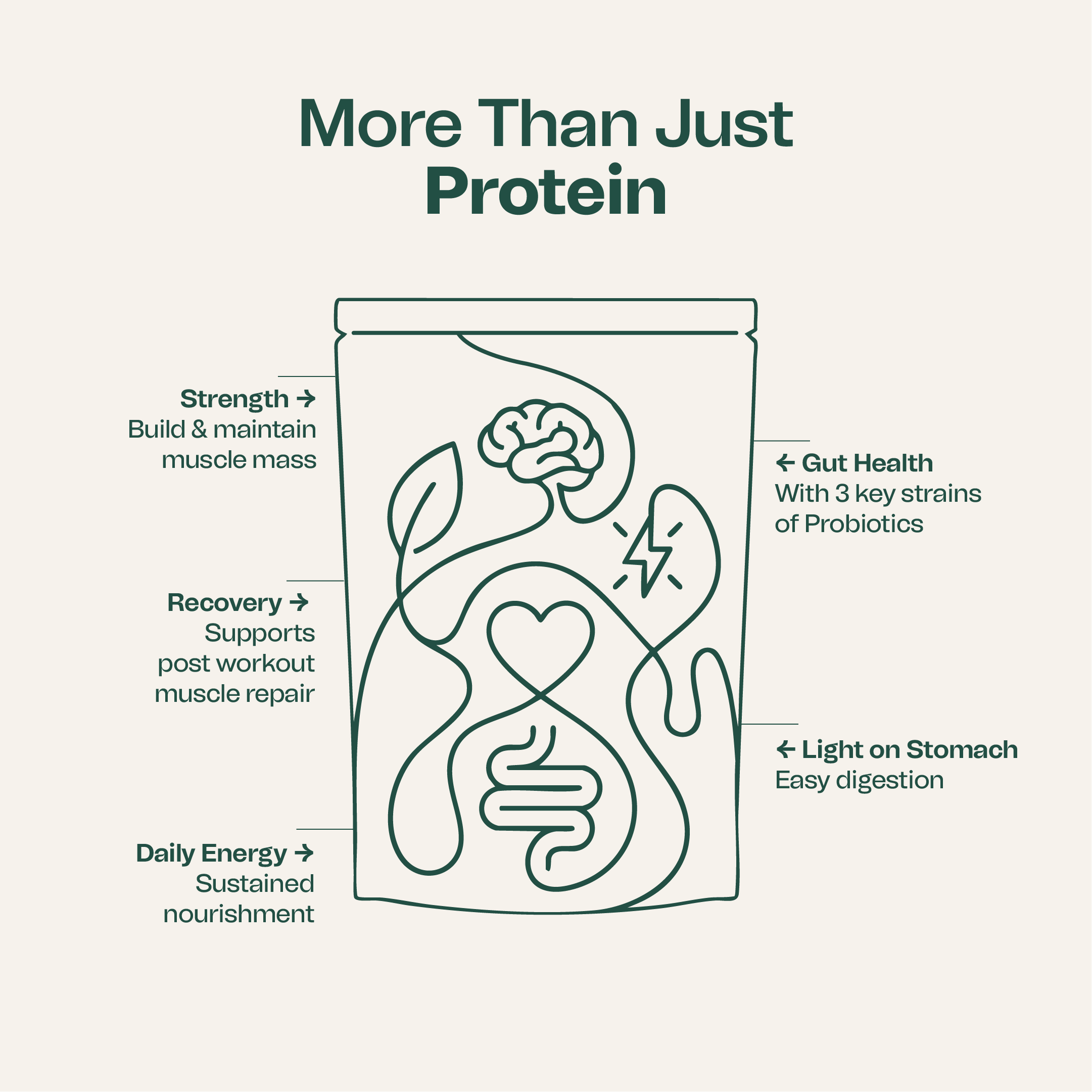 Plant Protein+ Assorted Box of 5