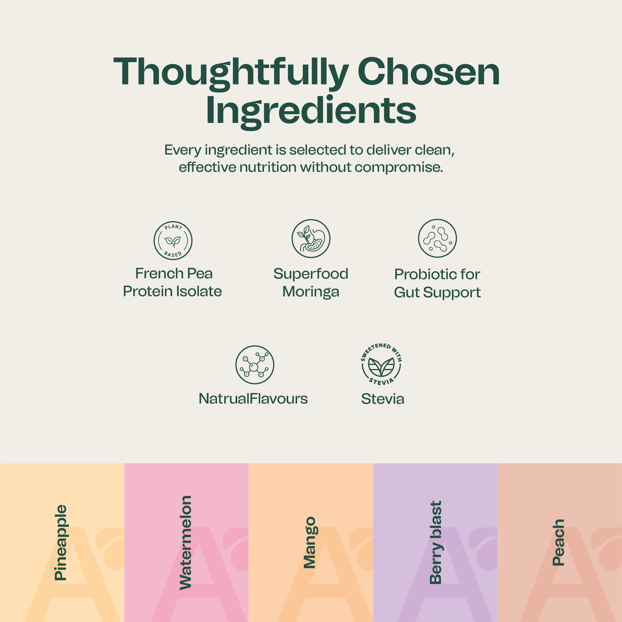 Plant Protein+ Assorted Box of 5
