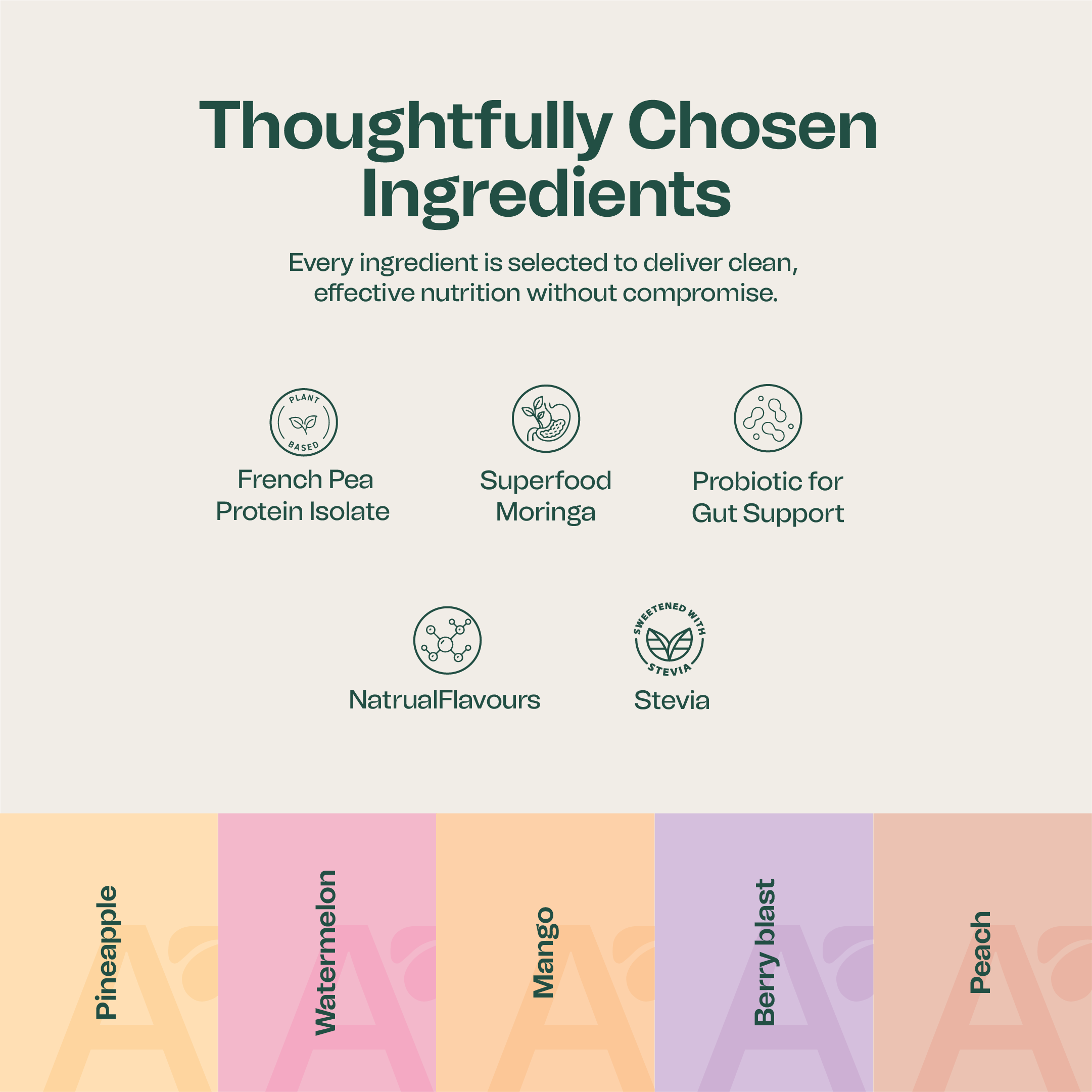 Plant Protein+ Assorted Box of 30